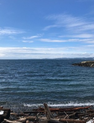 Detroit Juan de Fuca - Victoria B.C