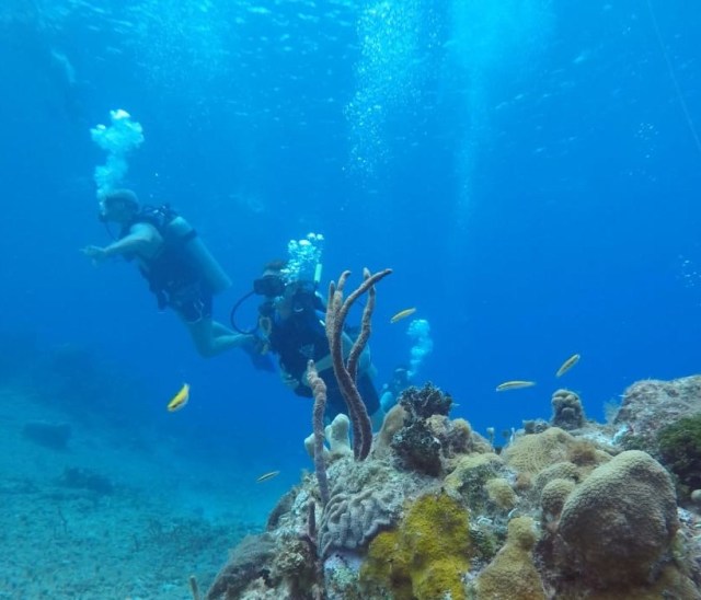 Cozumel - Paraiso reef