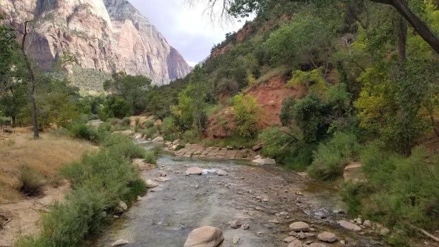 Parc national de Zion avec la Virgin river