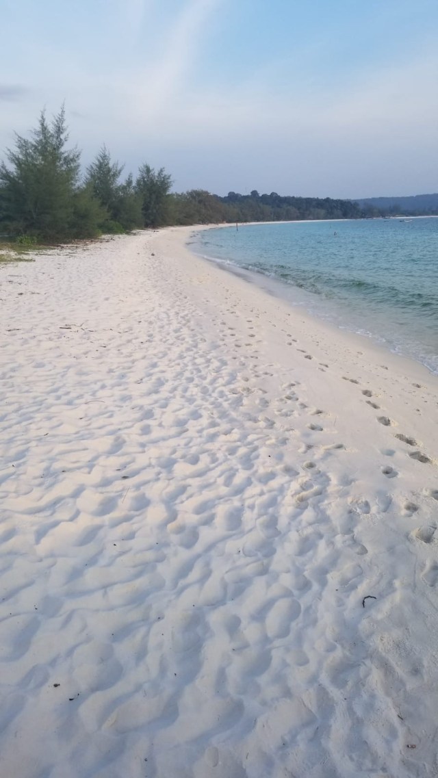 54a2d384-ff41-4b45-a61b-a2b2fabdb5cd